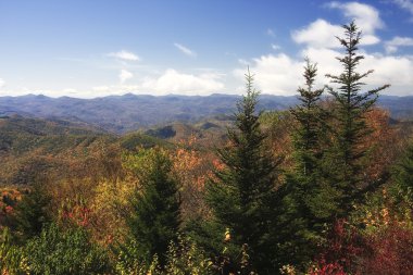 Blue ridge Dağları