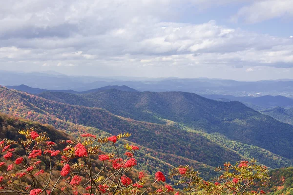 Severní Karolíny hory — Stock fotografie