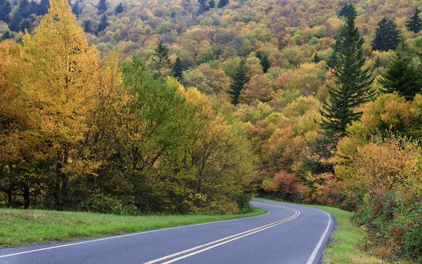 Country Mountain Road — Stock Photo, Image