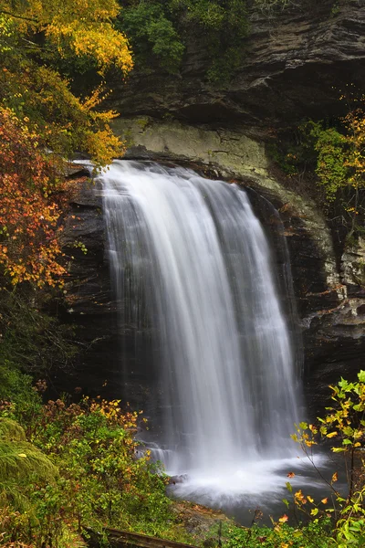Looking Glass Falls — Stock Photo, Image