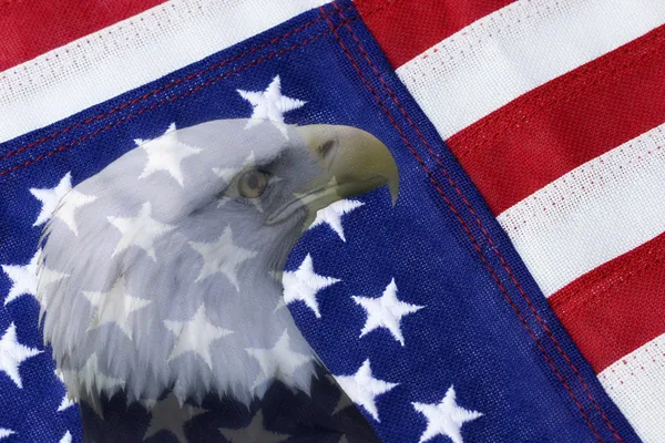 Americká vlajka a orel bělohlavý — Stock fotografie