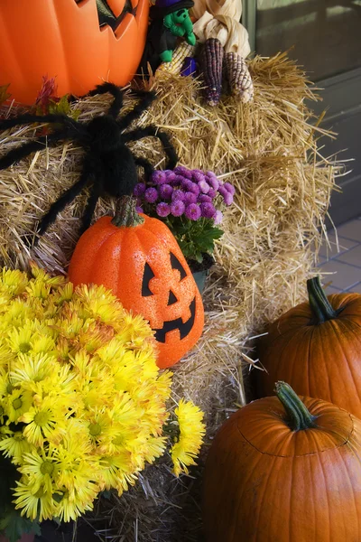 Halloween Decor — Stock Photo, Image