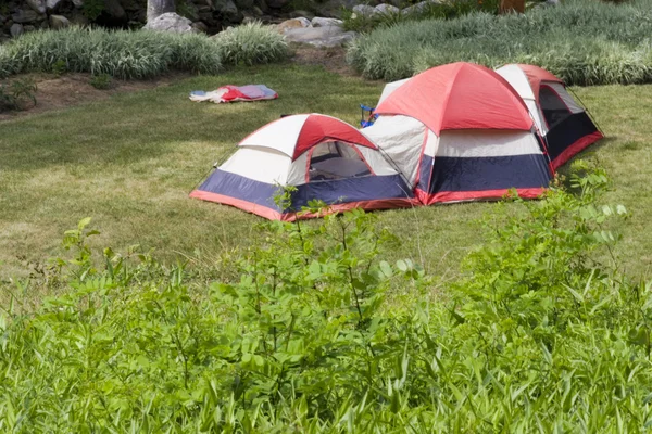 Camping tenten — Stockfoto