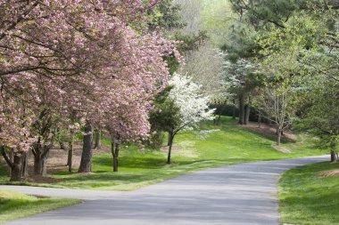 Spring Driveway clipart