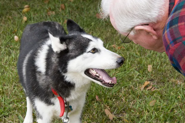 歳の男性と彼の犬 — ストック写真