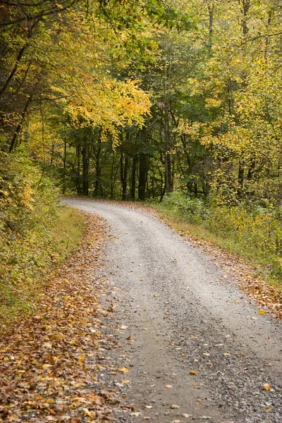 Road in the Country — Stock Photo, Image