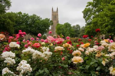 Duke Chapel clipart