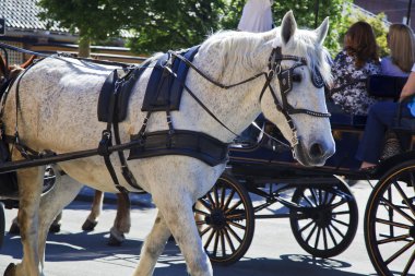 Horses Pulling a Cart clipart