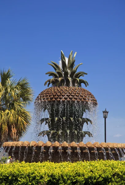 Ananas-förmiger Brunnen — Stockfoto