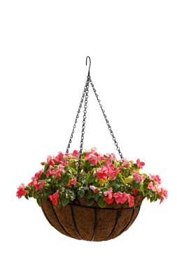 Hanging basket of beautiful flowers clipart