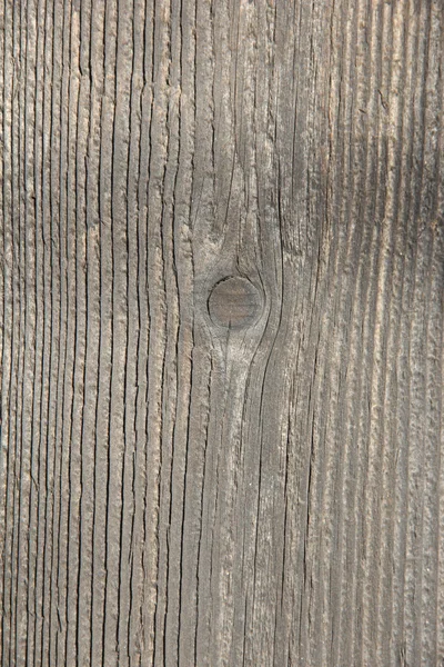 stock image A knot in wood