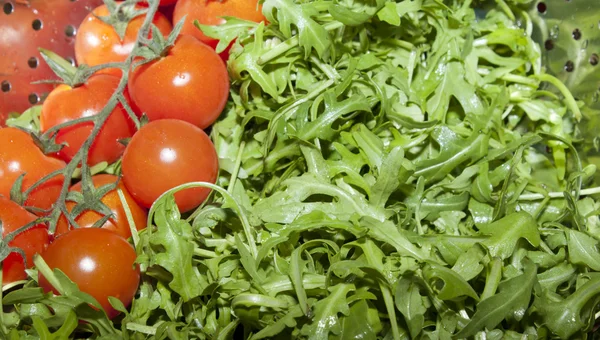 Rucola and tomatoes — Stock Photo, Image