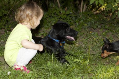 kız ve köpek