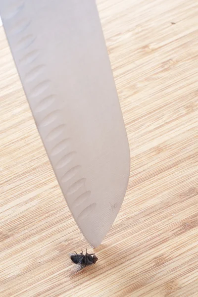 stock image Fly and knife