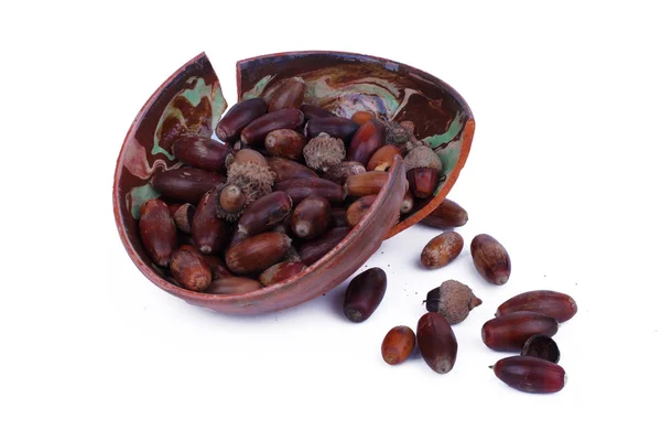 stock image Broken pot full with acorns