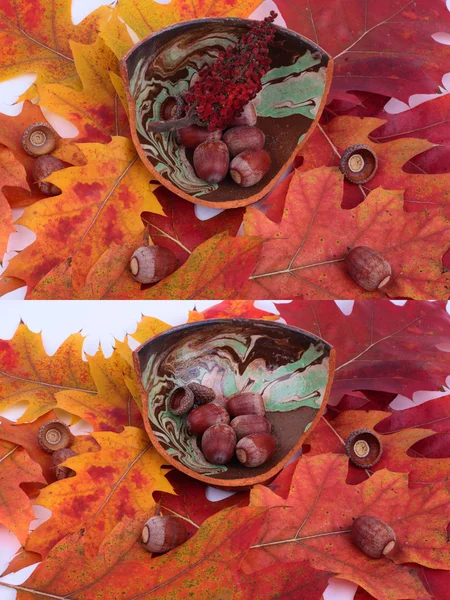 Pentola di argilla con ghiande su foglie di quercia — Foto Stock