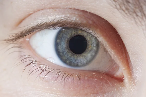 Olho azul macro — Fotografia de Stock