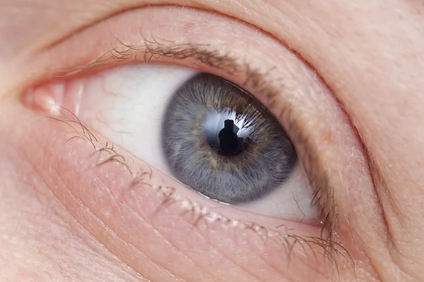 Μπλε μάτι μακροεντολή — Φωτογραφία Αρχείου