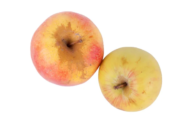 Два яблока — стоковое фото