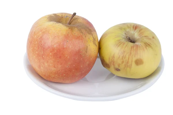 Apples in a plate — Stock Photo, Image
