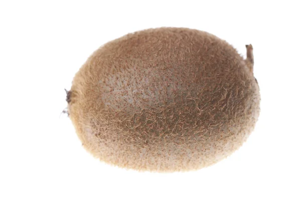 Brown kiwi — Fotografie, imagine de stoc
