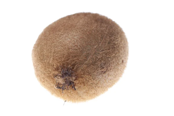 Kiwi marrone — Foto Stock