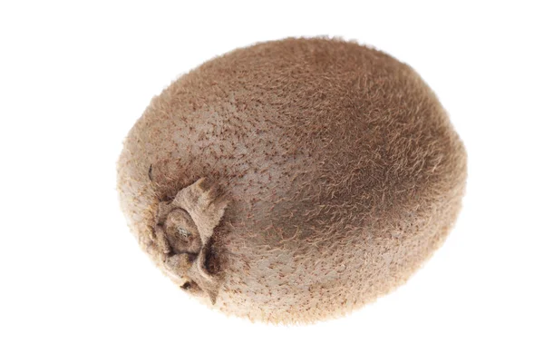 Bruin kiwi — Stockfoto