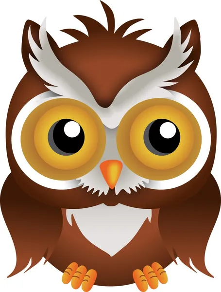 Nocturnal Owl — Stock Vector
