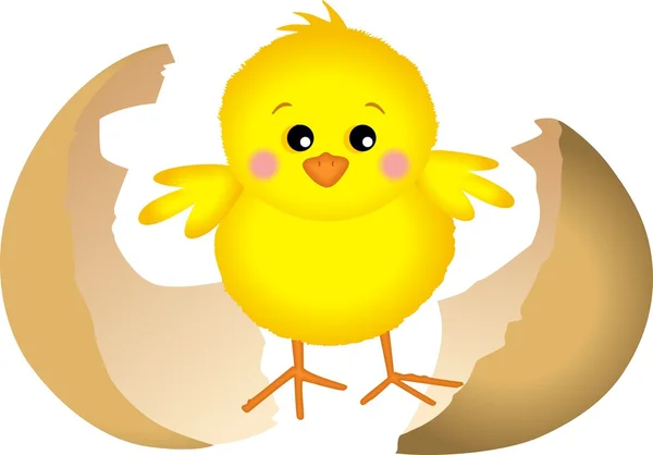 Petite poulette — Image vectorielle