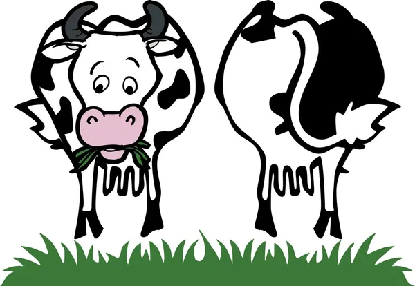 Krowa przód i tył — Wektor stockowy