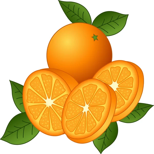 Oranges juteuses — Image vectorielle