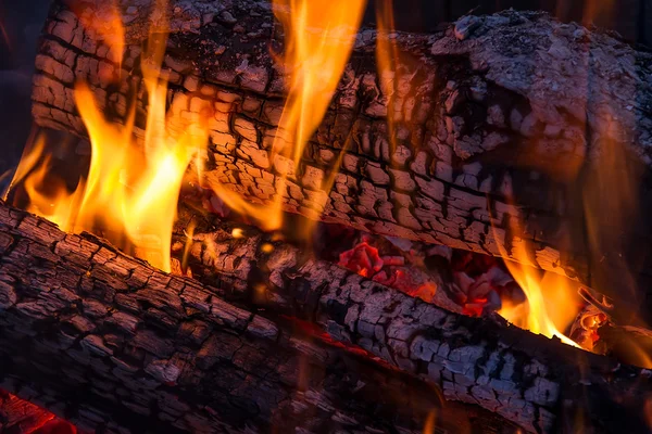 stock image Campfire