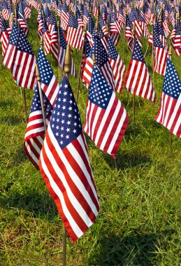 Field of Flags clipart