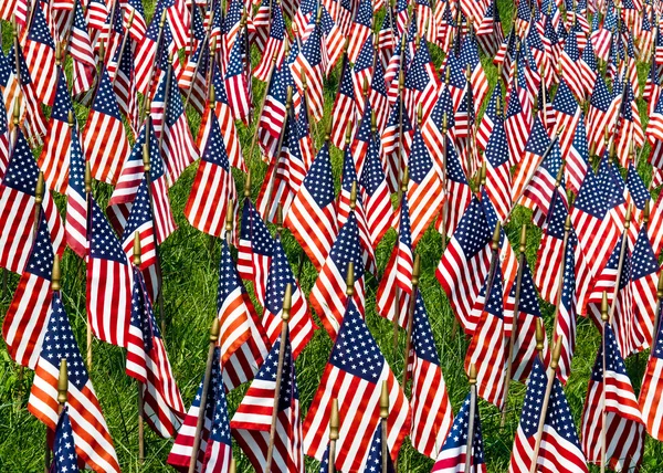 stock image Field of Flags