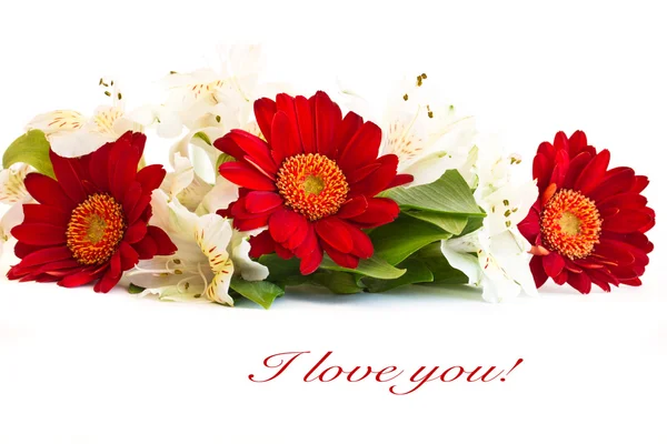 三个红色的非洲菊和玫瑰 — 图库照片