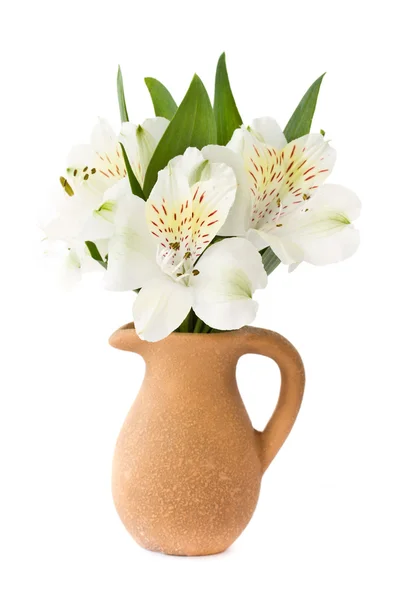 stock image Alstroemeria in a clay carafe