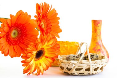 bıldırcın yumurtası ve opange gerbera sepeti