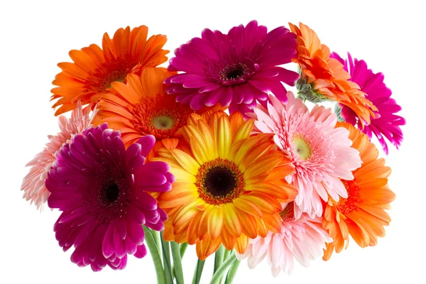 stock image The bouquet of bright gerbera