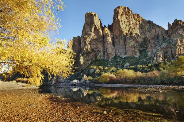 Landscape Near Phoenix,Scottsdale, AZ,USA — Stock Photo, Image
