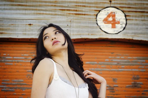 华丽美丽的性感女人亚洲模式 — 图库照片
