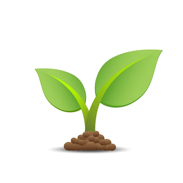 büyüyen bitki simgesi