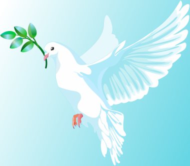 The white dove of peace clipart