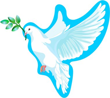 The white dove of peace, it is isolated clipart