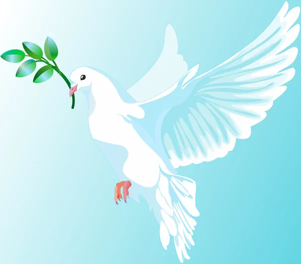 นกพิราบขาวแห่งสันติภาพ — ภาพเวกเตอร์สต็อก