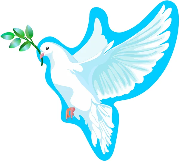 A pomba branca da paz, é isolada —  Vetores de Stock