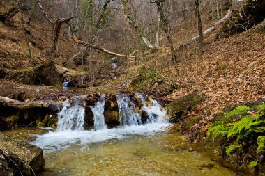 su cascades bir dağ nehir üzerinde