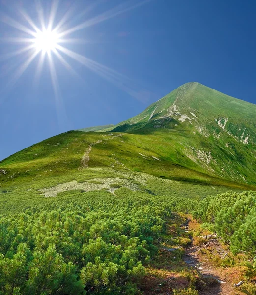 Зеленые горы в летний день — стоковое фото