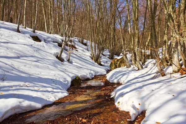 Río en un bosque de primavera nevado — Foto de Stock