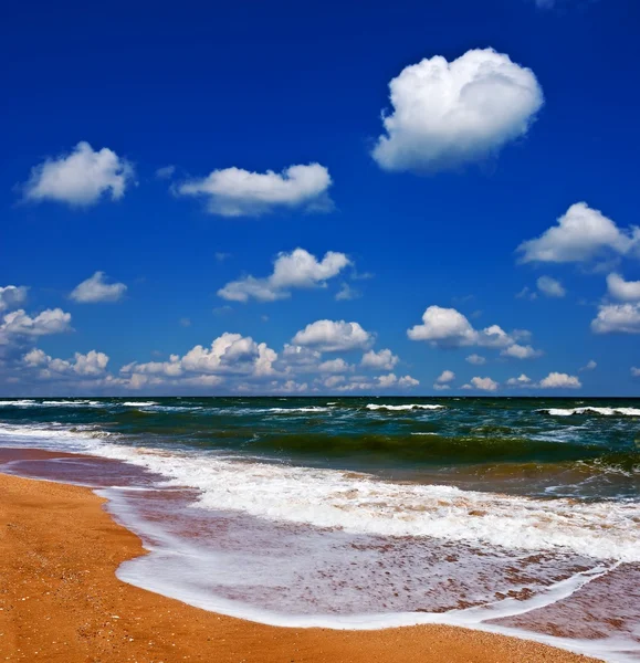 夏の海の砂浜のビーチ — ストック写真