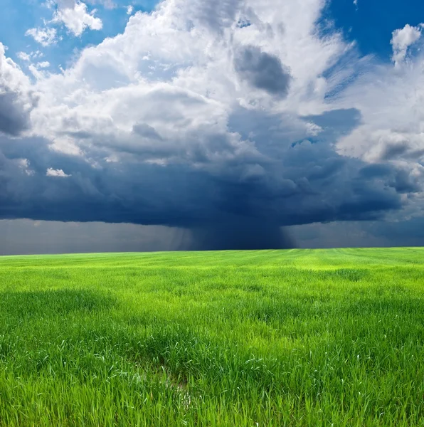 Green field by a shower — Stock Photo, Image